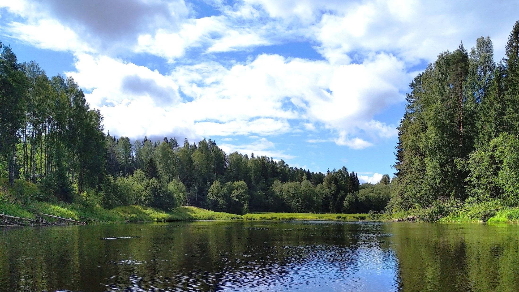 Новосёлки, 4,47 Га, лесной участок в километре от берега Волги –  TourLands.ru