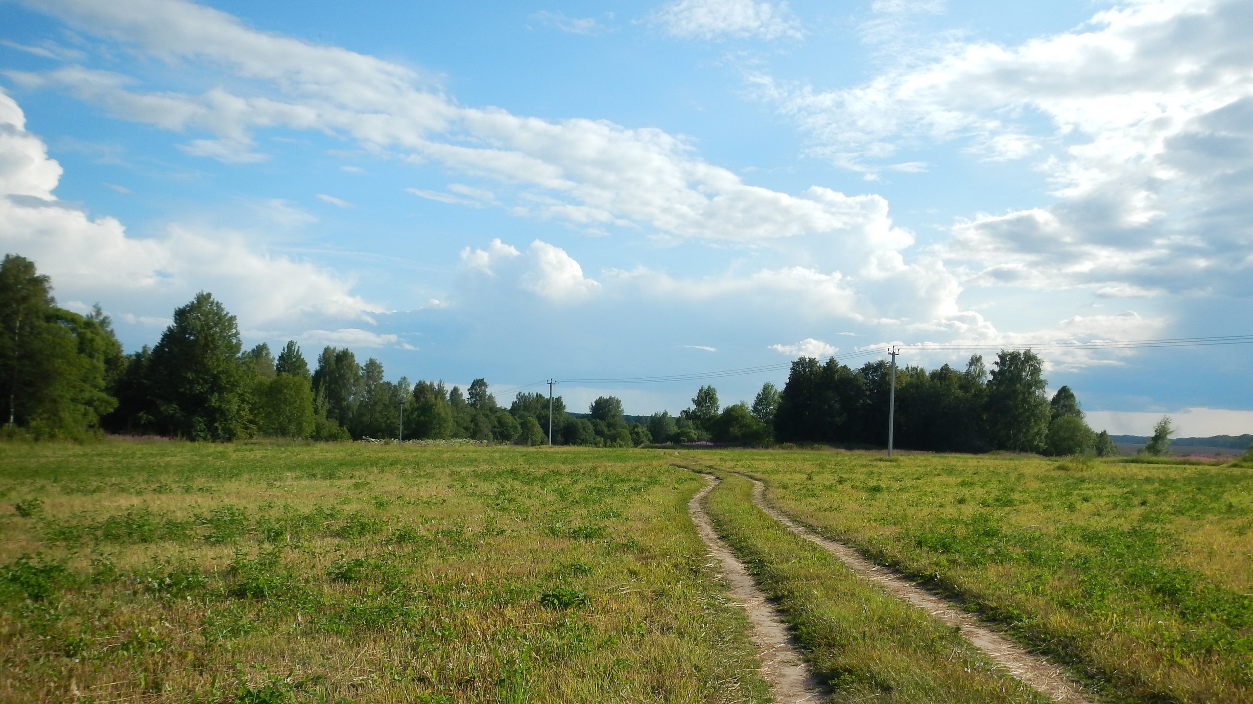 Юдино, участок 4,4 гектара на трассе Ржев-Тверь – TourLands.ru